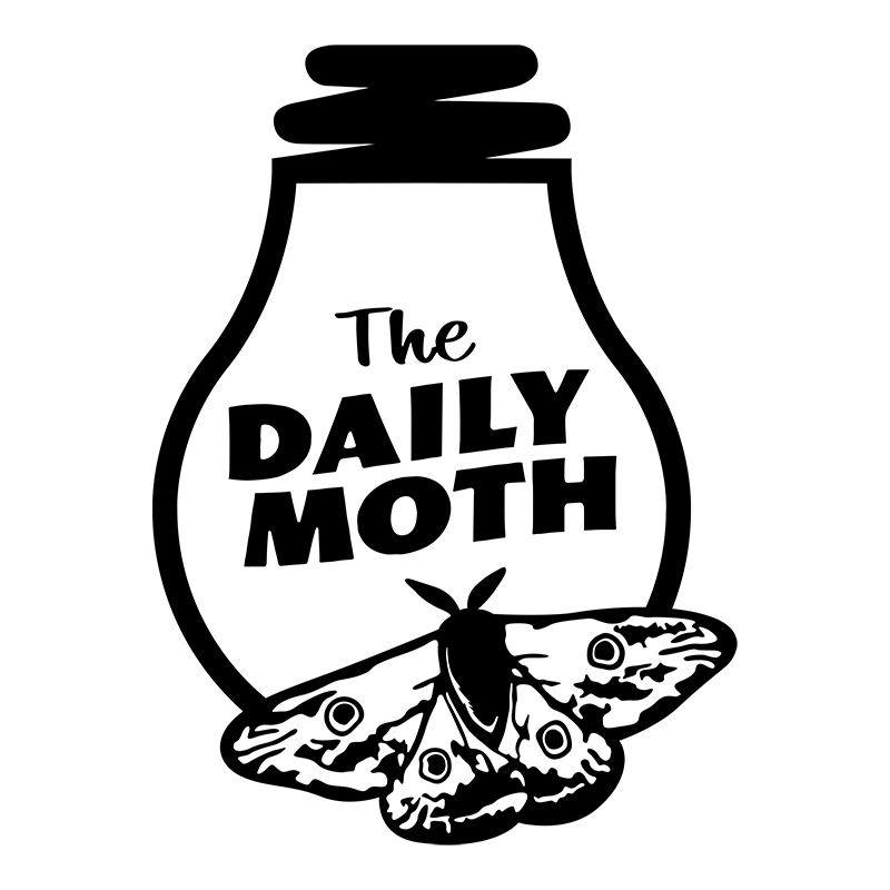 The Daily Moth logo