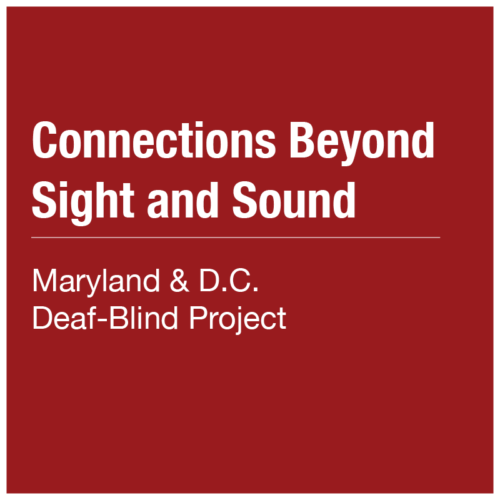 Connections Beyond Sight and Sound