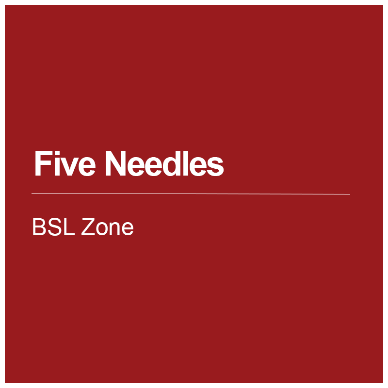Five_Needles