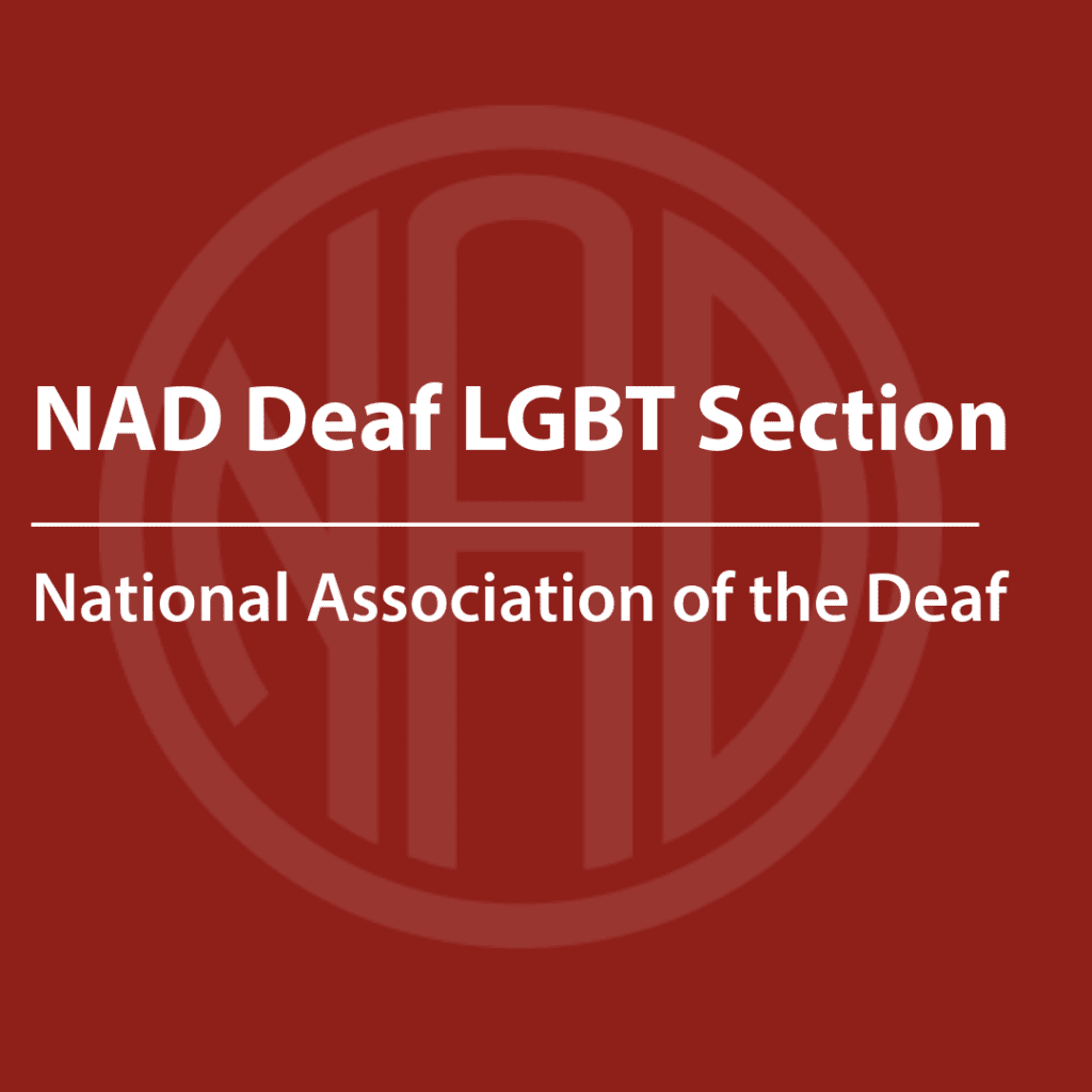 Cover of a resource thumbnail with text “NAD Deaf LGBT Section" on a red background.